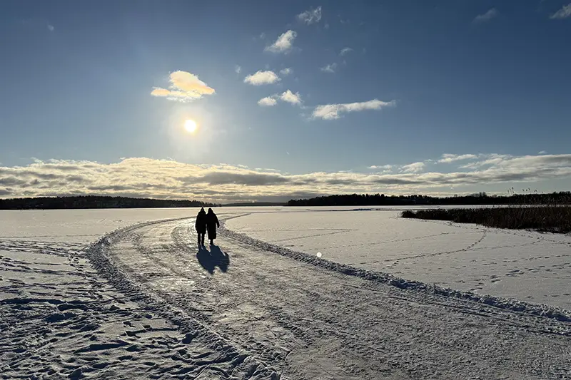 Årstider i Vallentunas natur