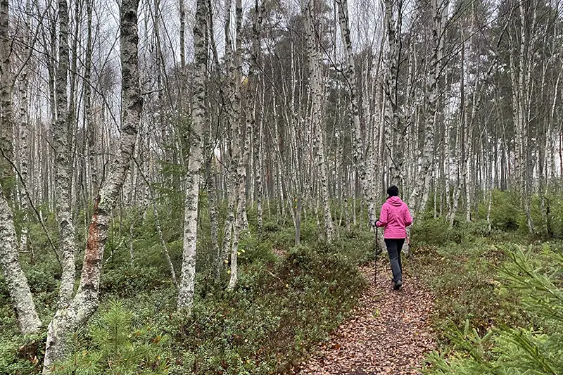 Veda naturstig – 5,1 km