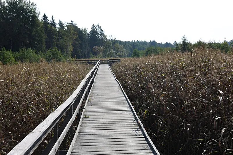 Ubbysjön runt