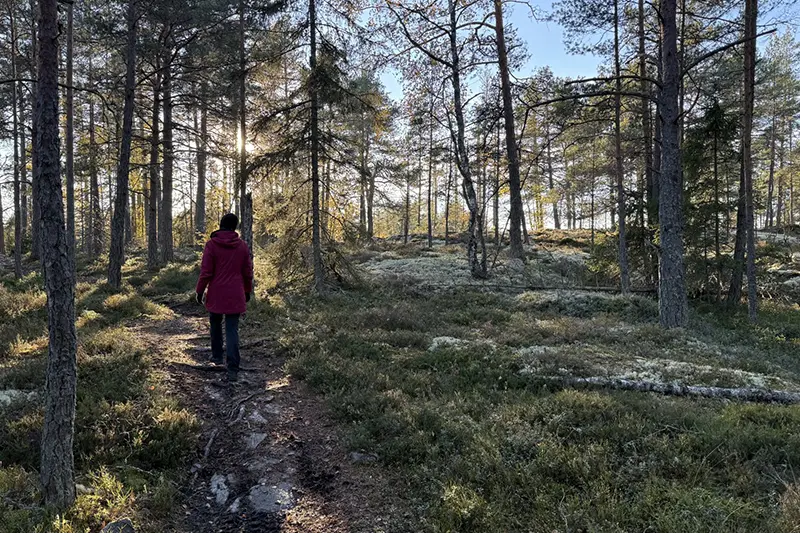 Lindholmen till Vallentuna