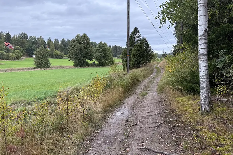 Traktorväg i inledningen av etapp 4 på Roslagsleden