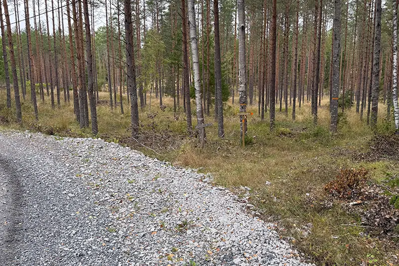 Skogsvägen ansluter till större grusväg som man följer en kort sträcka på etapp 4
