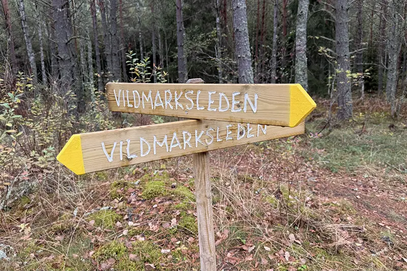 Ny vandringsled vid Gävsjön
